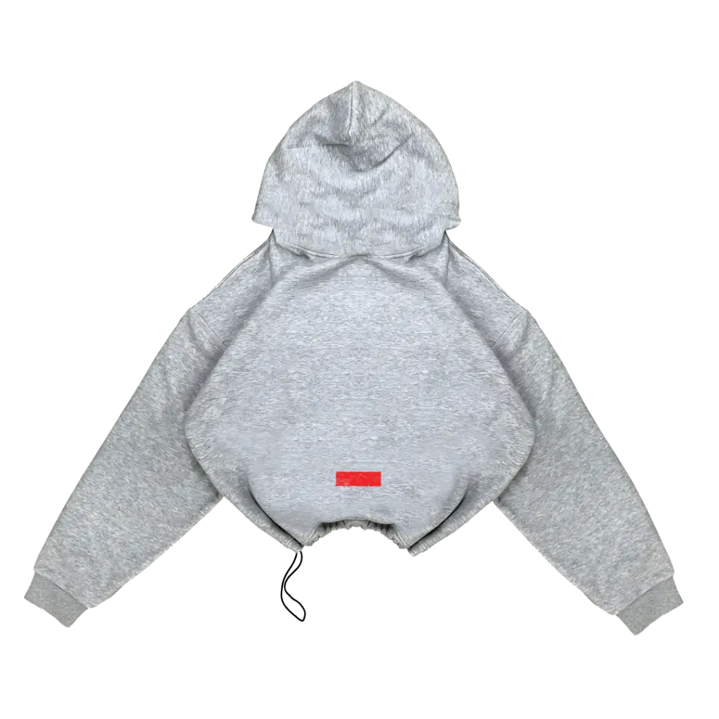 dotkom_BACK (1).webp